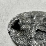 NRA Sharpshooter (1).jpg