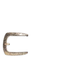 nr 81.png
