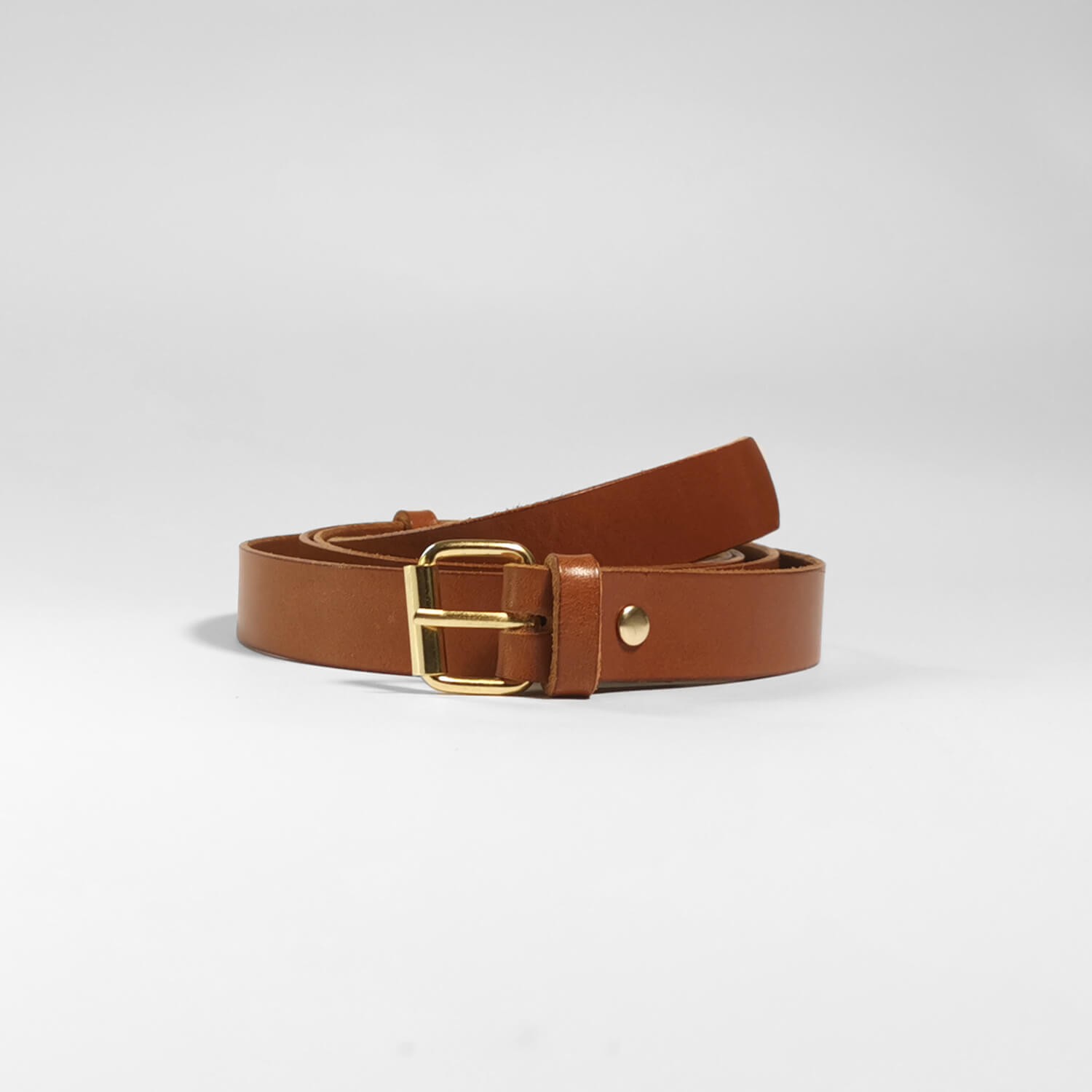 rolka rymarska zlota 2