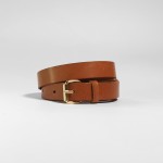 rolka rymarska zlota